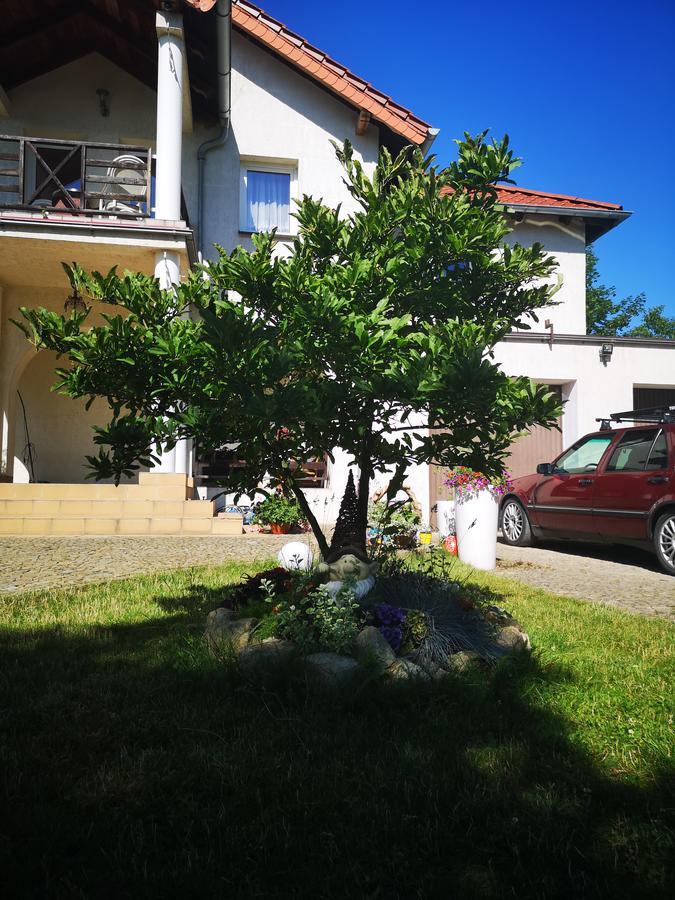 Appartement Casa Del Fasa à Polanica-Zdrój Extérieur photo